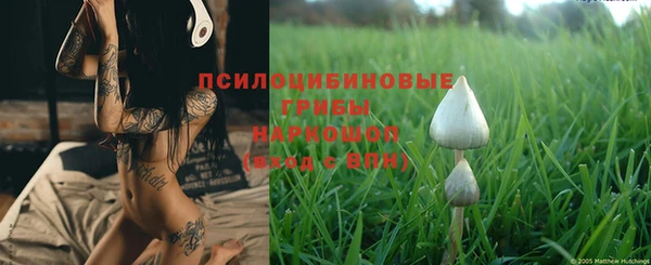 MESCALINE Лихославль