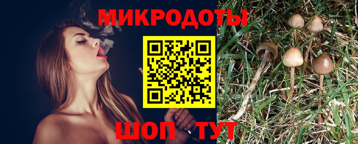 Псилоцибиновые грибы мицелий Димитровград