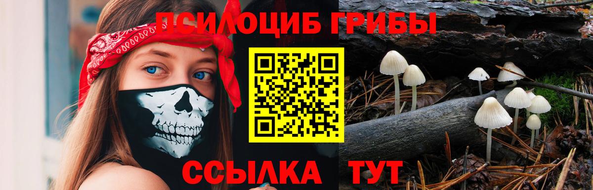 Псилоцибиновые грибы GOLDEN TEACHER  Псилоцибиновые грибы ЛСД  Вход с VPN  Димитровград 
